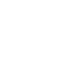 Custom Software Development Company Logo